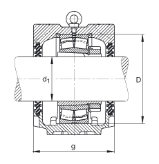 Стационарные корпуса SNV215-F-L + 21320K + H320X307 + DH620X307, FAG