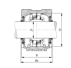 Стационарные корпуса SNV120-F-L + 222SM60-TVPA + DHV513, FAG