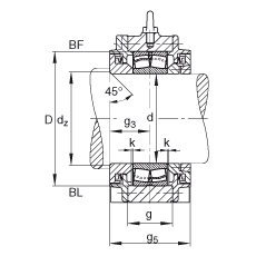 Стационарные корпуса BND3036-Z-T-BF-S, FAG