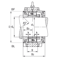 Стационарные корпуса BND3048-H-C-Y-BL-S, FAG