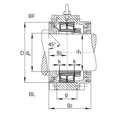 Стационарные корпуса BND3030-H-C-T-BF-S, FAG