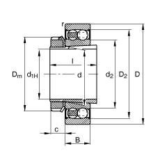 Радиальные сферические шарикоподшипники 2208-K-2RS-TVH-C3 + H308, FAG